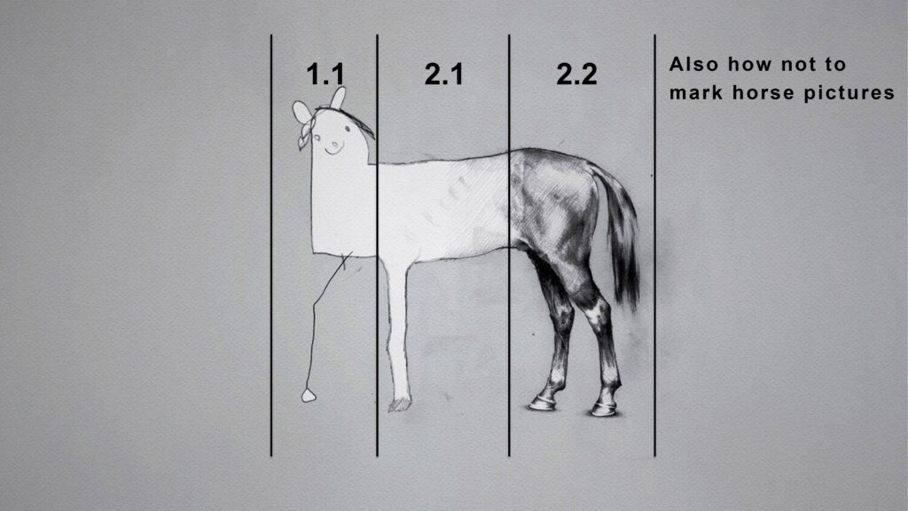 A drawing of a horse which moves from  cartoon to figurative in style. The cartoon end is awarded a first, the figurative end an 2.2.